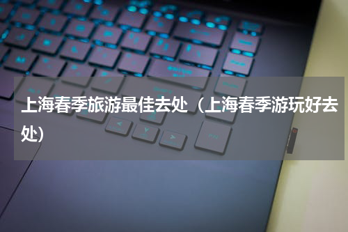 上海春季旅游最佳去处（上海春季游玩好去处）