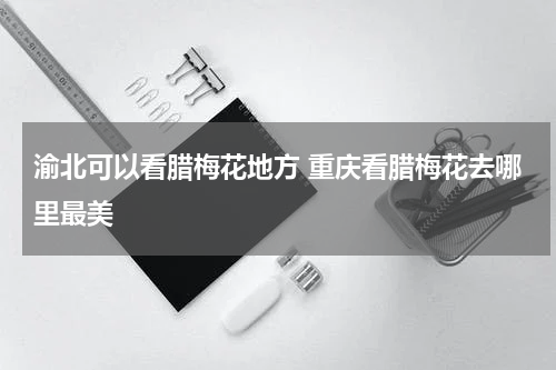 渝北可以看腊梅花地方 重庆看腊梅花去哪里最美