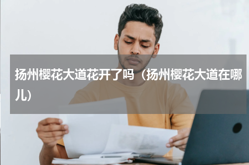 扬州樱花大道花开了吗（扬州樱花大道在哪儿）