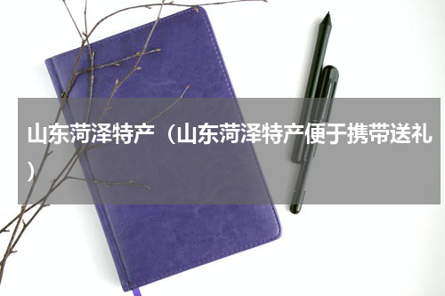 山东菏泽特产（山东菏泽特产便于携带送礼）