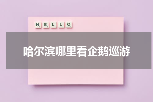 哈尔滨哪里看企鹅巡游