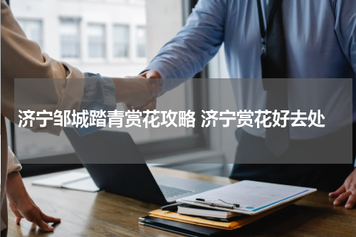 济宁邹城踏青赏花攻略 济宁赏花好去处