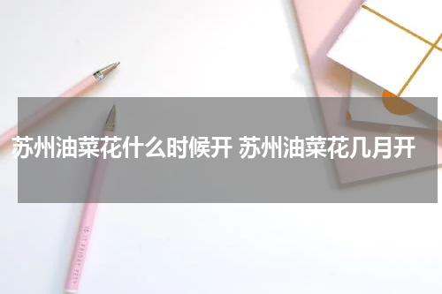 苏州油菜花什么时候开 苏州油菜花几月开