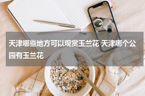 天津哪些地方可以观赏玉兰花 天津哪个公园有玉兰花