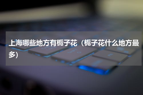 上海哪些地方有栀子花（栀子花什么地方最多）