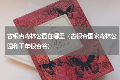 古银杏森林公园在哪里（古银杏国家森林公园和千年银杏谷）