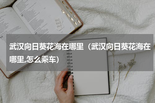 武汉向日葵花海在哪里（武汉向日葵花海在哪里,怎么乘车）