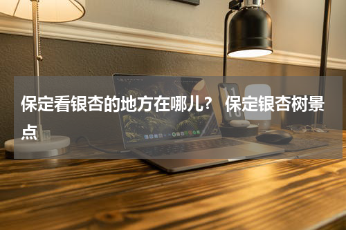 保定看银杏的地方在哪儿？ 保定银杏树景点