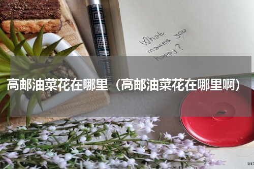 高邮油菜花在哪里（高邮油菜花在哪里啊）
