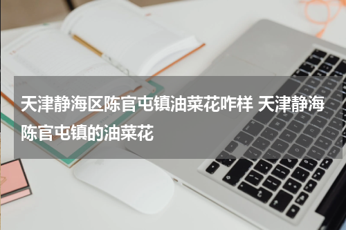 天津静海区陈官屯镇油菜花咋样 天津静海陈官屯镇的油菜花