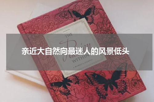  亲近大自然向最迷人的风景低头