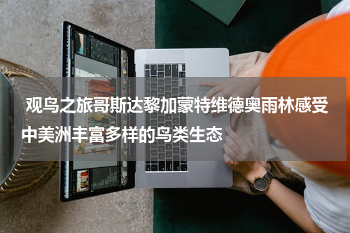  观鸟之旅哥斯达黎加蒙特维德奥雨林感受中美洲丰富多样的鸟类生态
