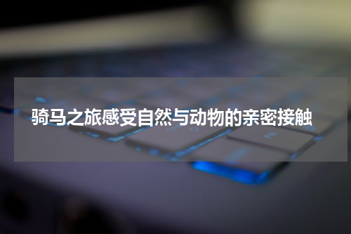  骑马之旅感受自然与动物的亲密接触
