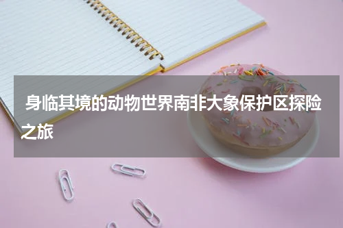  身临其境的动物世界南非大象保护区探险之旅