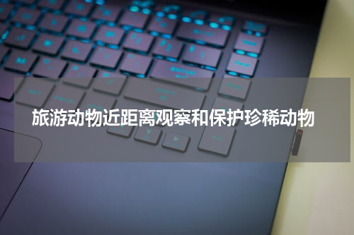  旅游动物近距离观察和保护珍稀动物