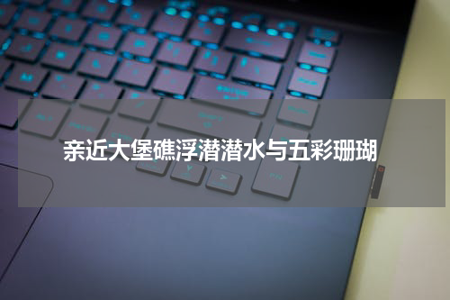  亲近大堡礁浮潜潜水与五彩珊瑚