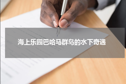  海上乐园巴哈马群岛的水下奇遇