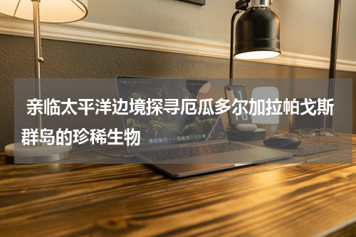  亲临太平洋边境探寻厄瓜多尔加拉帕戈斯群岛的珍稀生物