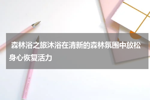  森林浴之旅沐浴在清新的森林氛围中放松身心恢复活力