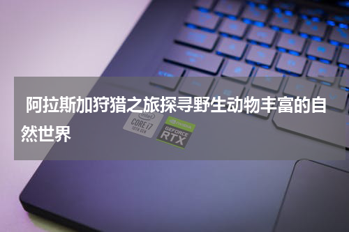  阿拉斯加狩猎之旅探寻野生动物丰富的自然世界