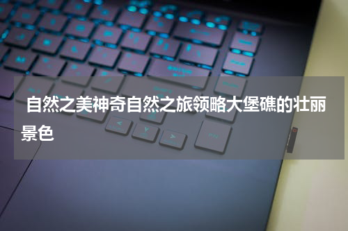  自然之美神奇自然之旅领略大堡礁的壮丽景色
