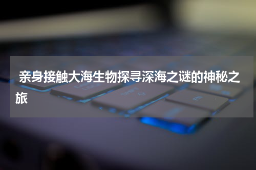  亲身接触大海生物探寻深海之谜的神秘之旅
