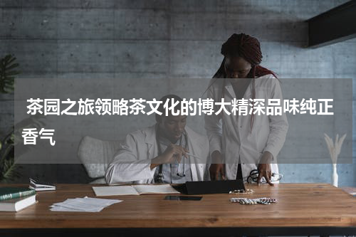  茶园之旅领略茶文化的博大精深品味纯正香气
