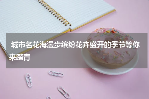  城市名花海漫步缤纷花卉盛开的季节等你来踏青