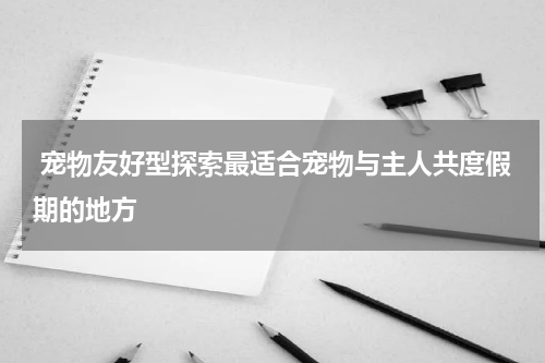  宠物友好型探索最适合宠物与主人共度假期的地方