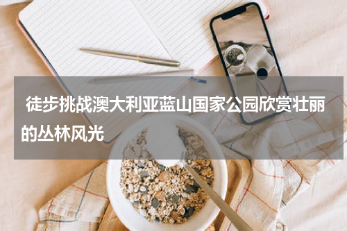  徒步挑战澳大利亚蓝山国家公园欣赏壮丽的丛林风光