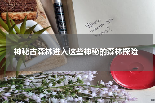  神秘古森林进入这些神秘的森林探险