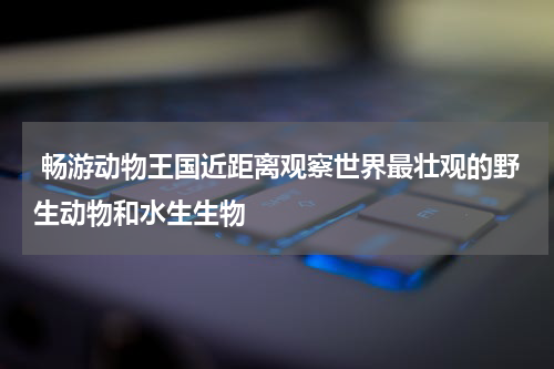  畅游动物王国近距离观察世界最壮观的野生动物和水生生物