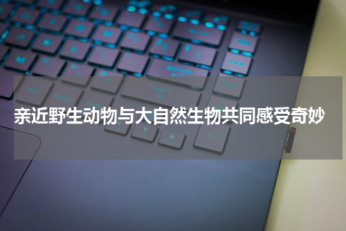 亲近野生动物与大自然生物共同感受奇妙
