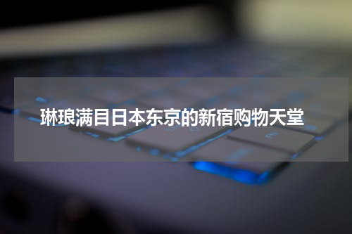  琳琅满目日本东京的新宿购物天堂