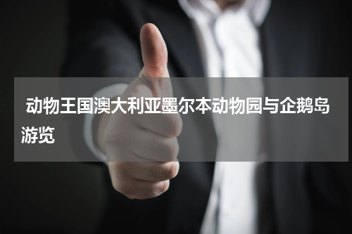  动物王国澳大利亚墨尔本动物园与企鹅岛游览