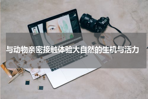  与动物亲密接触体验大自然的生机与活力