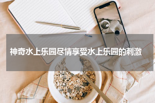  神奇水上乐园尽情享受水上乐园的刺激
