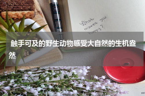  触手可及的野生动物感受大自然的生机盎然