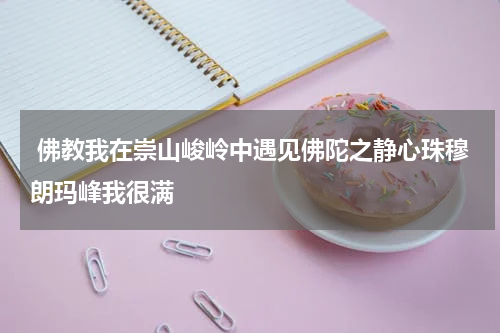  佛教我在崇山峻岭中遇见佛陀之静心珠穆朗玛峰我很满