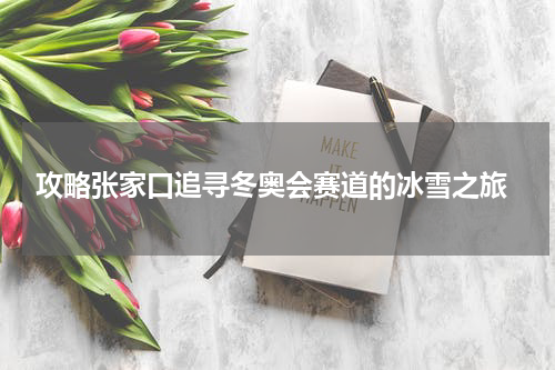  攻略张家口追寻冬奥会赛道的冰雪之旅