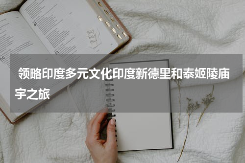  领略印度多元文化印度新德里和泰姬陵庙宇之旅