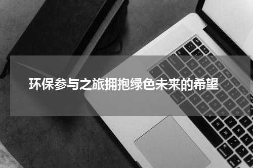  环保参与之旅拥抱绿色未来的希望
