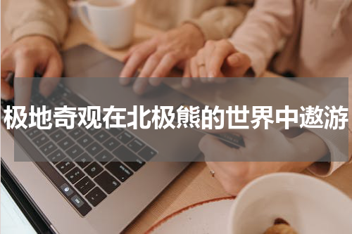 极地奇观在北极熊的世界中遨游