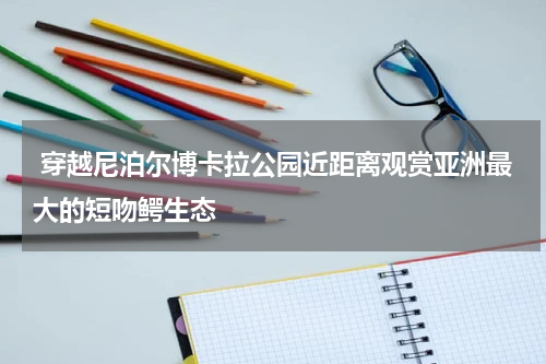  穿越尼泊尔博卡拉公园近距离观赏亚洲最大的短吻鳄生态