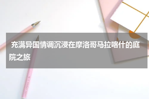  充满异国情调沉浸在摩洛哥马拉喀什的庭院之旅