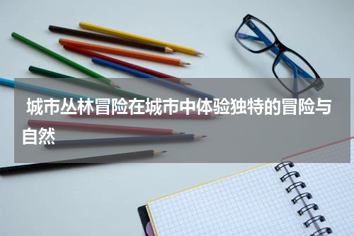  城市丛林冒险在城市中体验独特的冒险与自然