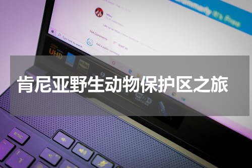  肯尼亚野生动物保护区之旅