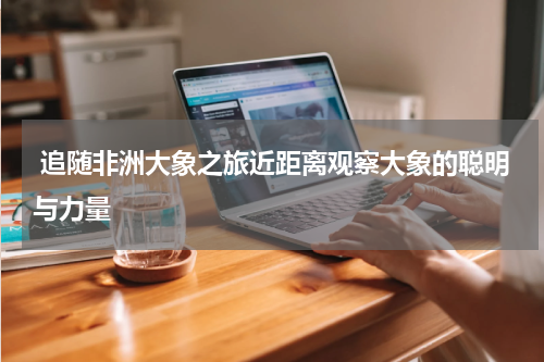 追随非洲大象之旅近距离观察大象的聪明与力量