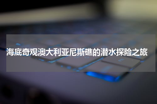  海底奇观澳大利亚尼斯礁的潜水探险之旅