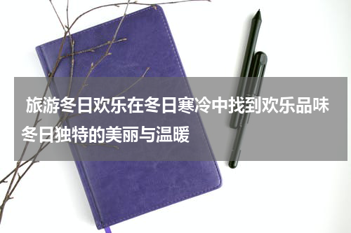  旅游冬日欢乐在冬日寒冷中找到欢乐品味冬日独特的美丽与温暖